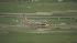 Fiery landing for SWA 519 :: A Southwest Airlines flight landing in Houston caught fire and had to be evacuated
