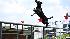 Its a high-flying canine competition as Dock...