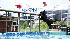 Its a high-flying canine competition as Dock...