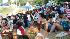 Volleyball enthusiasts came out to watch the Bud...