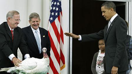 President Barack Obama, right, speaks as he pardons a turkey, Courage, with daughter Sasha Obama, 8, the day before Thanksgiving, during a ceremony in the North Portico of the White House in Washington Wednesday, Nov. 25, 2009 as Walter Pelletier, chairman of the National Turkey Federation, center and Paul Hill, left, with the federation, look on. Daughter Malia Obama is not seen behind the President. (AP Photo/Alex Brandon)