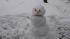 Magnet snowman gets BIGGER!!!  (Photo by: Cheryl H.)