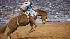 Images from 2010 Rodeo Houston at Reliant...