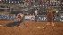 Images from 2010 Rodeo Houston at Reliant...