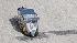Photos from the Shell Eco-marathon that was held...
