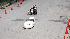 Photos from the Shell Eco-marathon that was held...