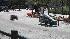 Photos from the Shell Eco-marathon that was held...