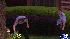 A female officer approached the suspect and used...