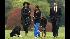 Malia Obama walks with their new dog Bo as...