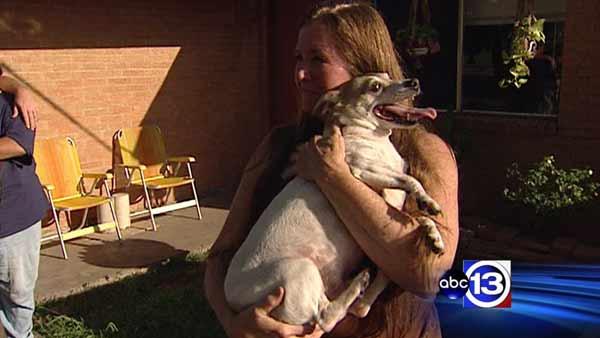  ... shot dog, Freeport Police Department won't pay vet bill | abc13.com