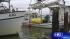 Alex halts most oil spill cleanup efforts ::