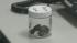 Container of tar balls found over the weekend on...