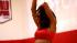 Women turned out in force at the auditions for...