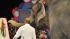 Image from the Ringling Brothers and Barnum and...