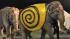 Image from the Ringling Brothers and Barnum and...