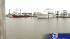 Gulf residents breathe sigh of relief ::