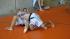Undefeated Houston resident Chad Robichaux...