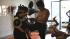 Strikeforce fighters train at a Houston fight...