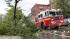 An FDNY fire truck passes a tree knocked down by...