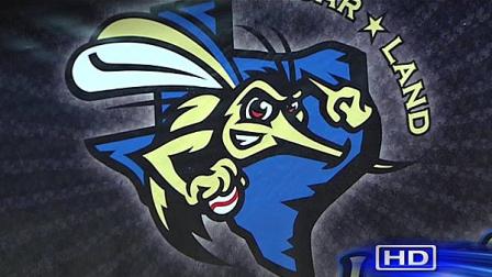 Homes wanted for professional baseball players