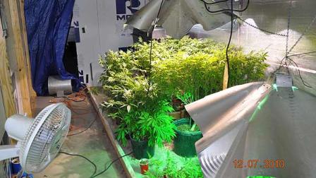 According to the Waller County Sheriffs Office, the indoor growing operation contained 362 marijuana plants in various stages of cultivation