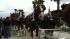 The famous Budweiser Clydesdales made an...