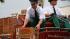 The famous Budweiser Clydesdales made an...