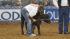 Image from the 2011 RodeoHouston at Reliant...