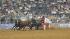 Image from the 2011 RodeoHouston at Reliant...