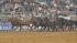 Image from the 2011 RodeoHouston at Reliant...