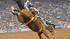 Image from the 2011 RodeoHouston at Reliant...