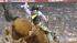 Image from the 2011 RodeoHouston at Reliant...