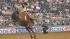 Image from the 2011 RodeoHouston at Reliant...