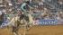 Image from the 2011 RodeoHouston at Reliant...