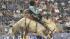 Image from the 2011 RodeoHouston at Reliant...