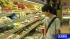 FDA bans certain Japanese food imports ::
