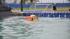 Paws in the Park was held in Pearland to support...