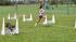 Paws in the Park was held in Pearland to support...