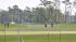 Image of the opening round of the 2011 Shell...