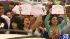Images from Katy student protest at Morton Ranch...