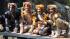 Cast members from CATS visit the big cat exhibit...