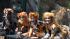 Cast members from CATS visit the big cat exhibit...