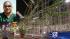 Feds probing rollercoaster after deadly... ::