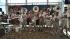 Image of the draft party at Reliant Stadium...