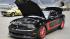 The 2011 Classy Chassis Concours dElegance event...