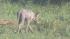 A Lake Jackson resident shot photos of a...