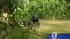 Investigators on scene searching for clues ::