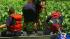 More evidence recovered in dismembered body... ::