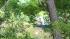 A cadaver dog in a search boat on Oyster Creek