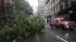 A fire department vehicle drives past a tree...